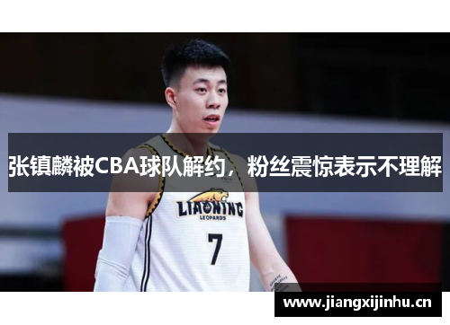 张镇麟被CBA球队解约，粉丝震惊表示不理解